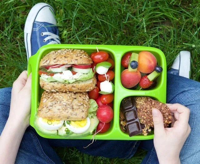 meilleures lunch box électriques pour le camping