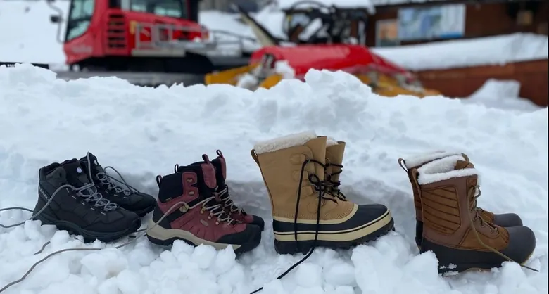 Bottes d'Hiver Idéales pour Femmes