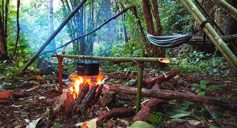 stage de survie en france